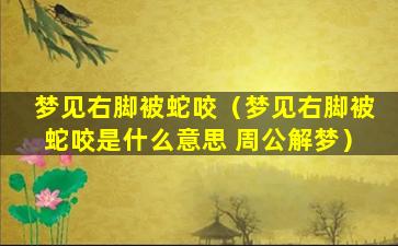 梦见右脚被蛇咬（梦见右脚被蛇咬是什么意思 周公解梦）